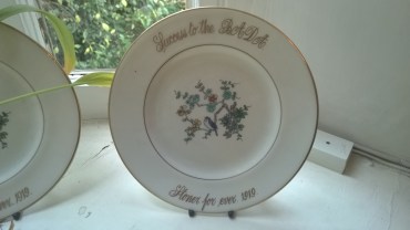 Stoner plate 1919
